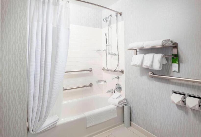 酒店 Springhill Suites Chicago Downtown/river North