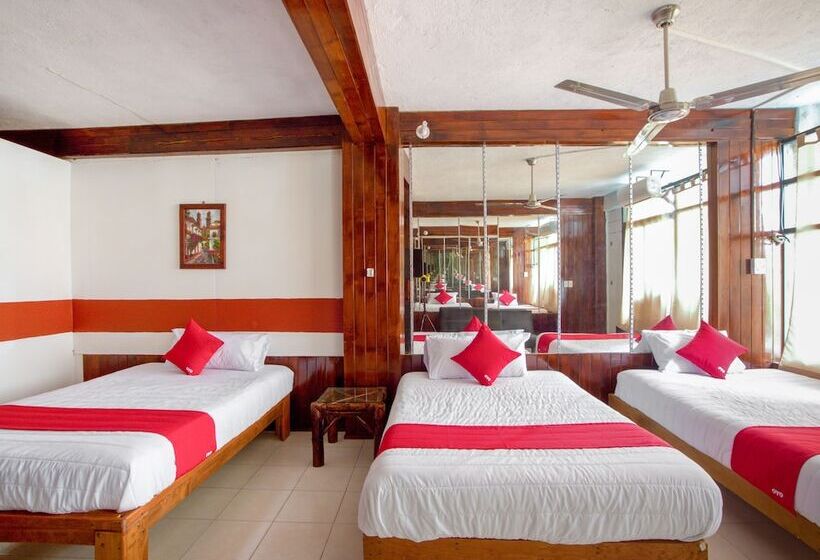 酒店 Suites Tropicana Ixtapa