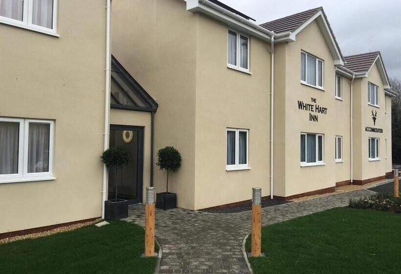בית מלון כפרי The White Hart