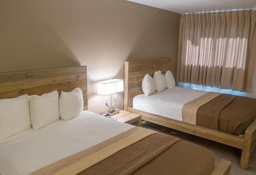 酒店 Thunderbird Boutique