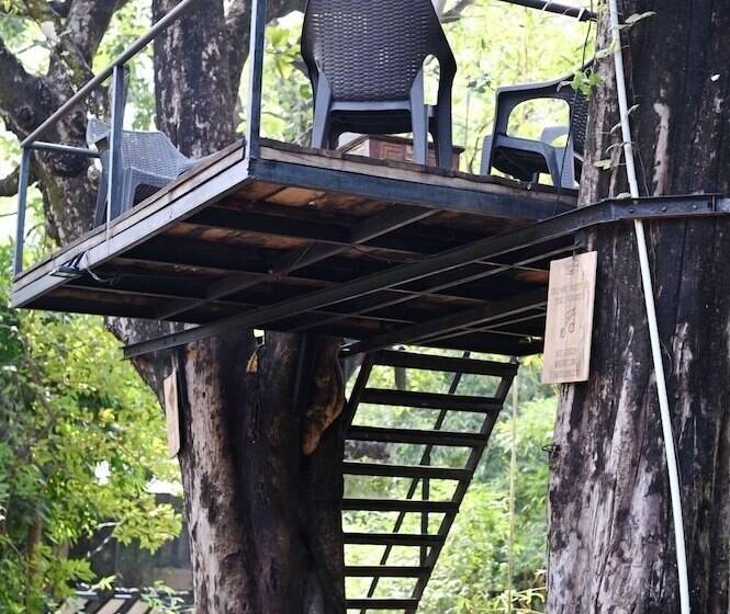 בית מלון כפרי Tiger N Woods Resort