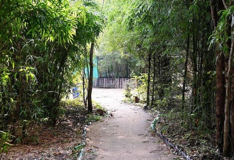 호텔 Tiger N Woods Resort