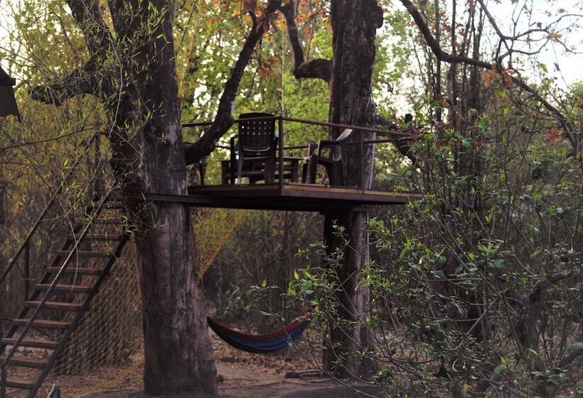 בית מלון כפרי Tiger N Woods Resort