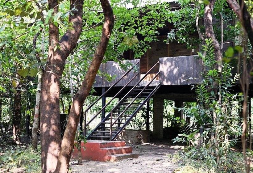 호텔 Tiger N Woods Resort