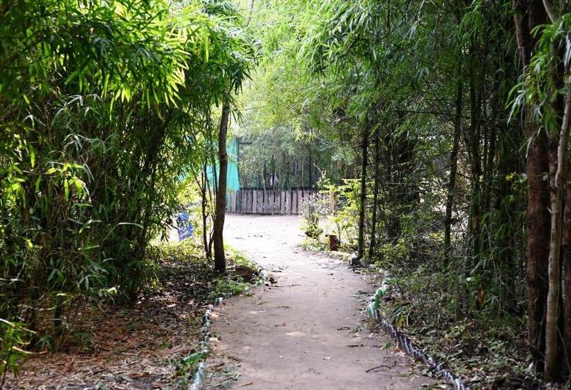 בית מלון כפרי Tiger N Woods Resort