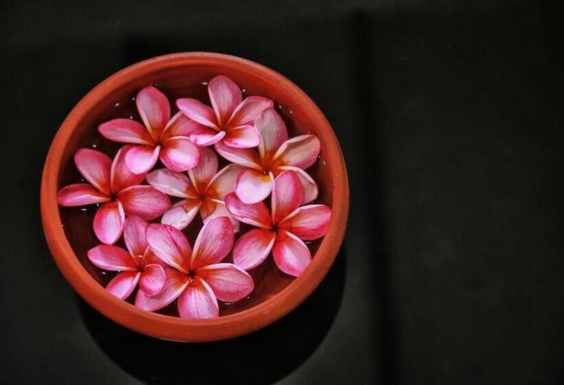 膳宿费 Gedara Villa