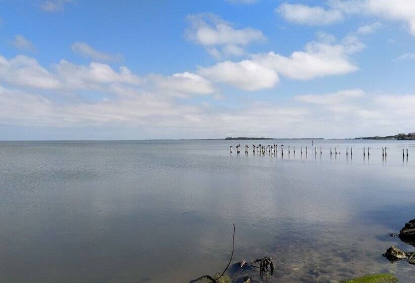 بنسيون The Red Hut Inn
