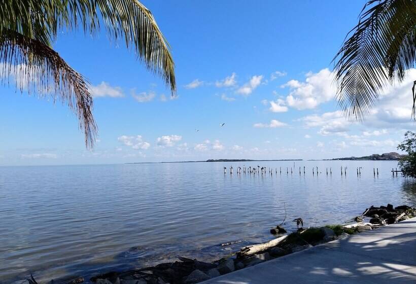 بنسيون The Red Hut Inn
