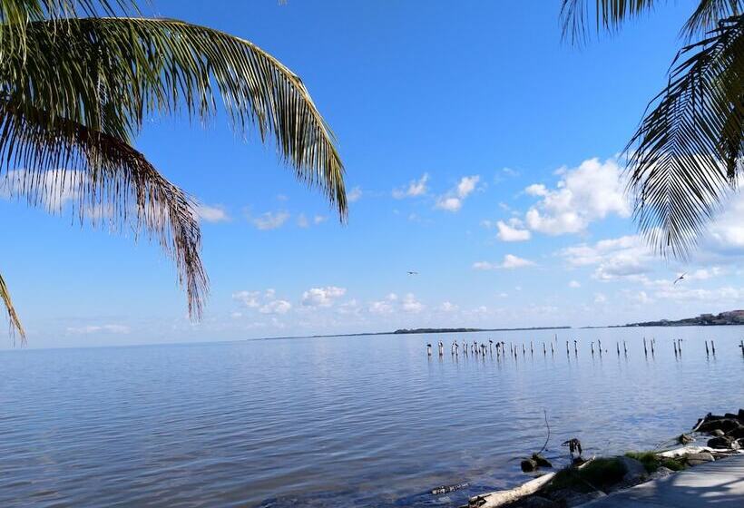 بنسيون The Red Hut Inn