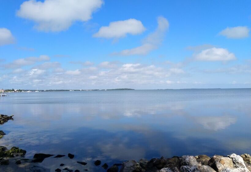 بنسيون The Red Hut Inn