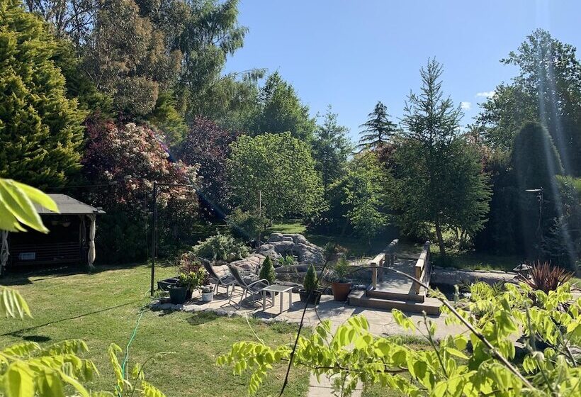 Woodpaddock Bed & Breakfast