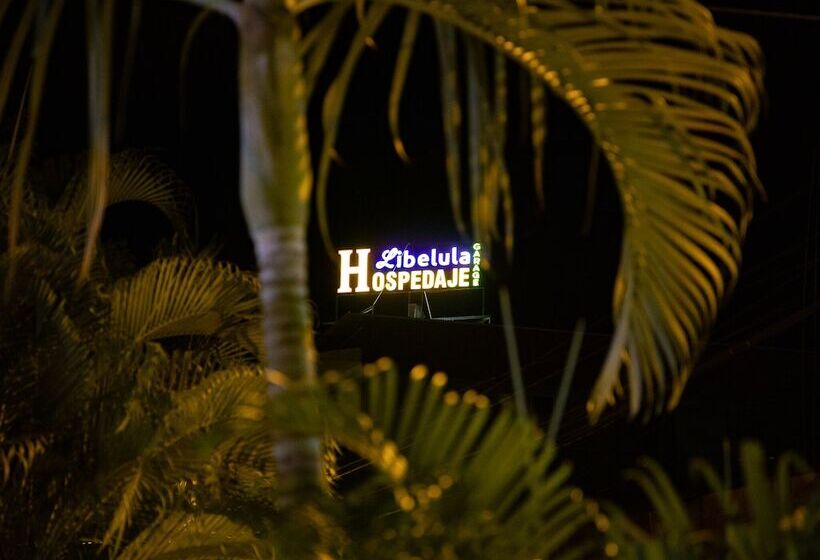 مسافرخانه Libelula