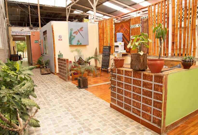 مسافرخانه Libelula