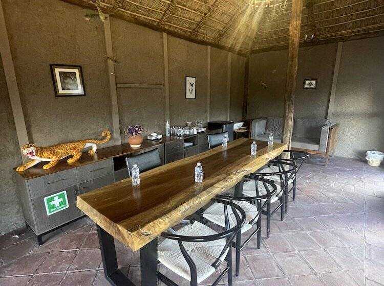 فندق Casa Regina Oaxaca