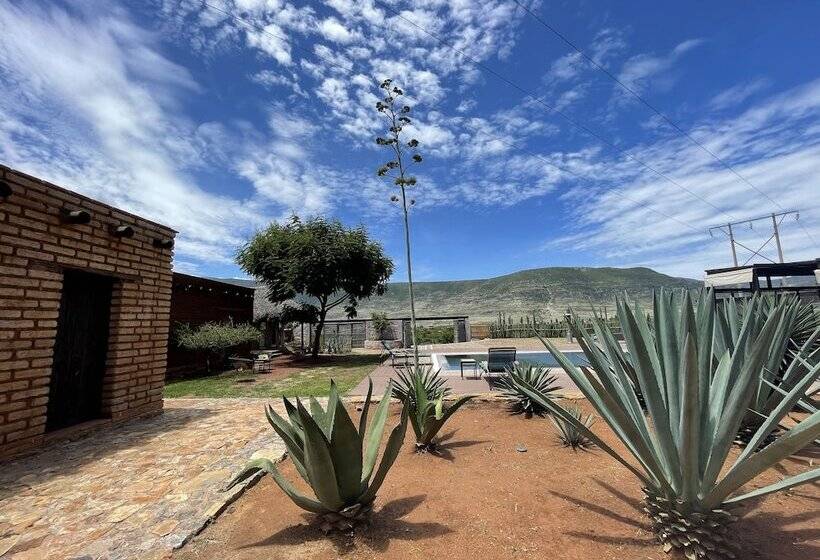 فندق Casa Regina Oaxaca