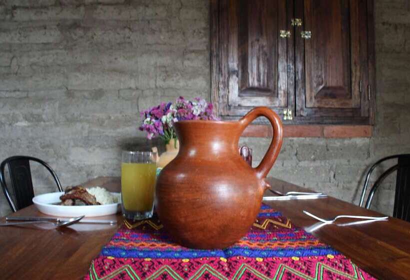 فندق Casa Regina Oaxaca