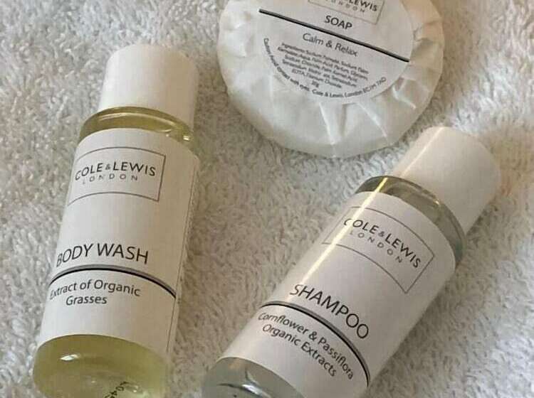 בית מלון כפרי The Black Swan