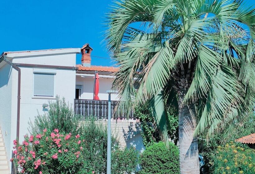 بنسيون Apartments Snježana Carev