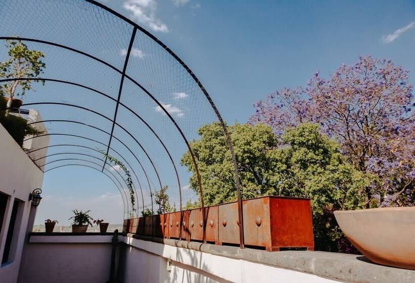 膳宿费 Dream House