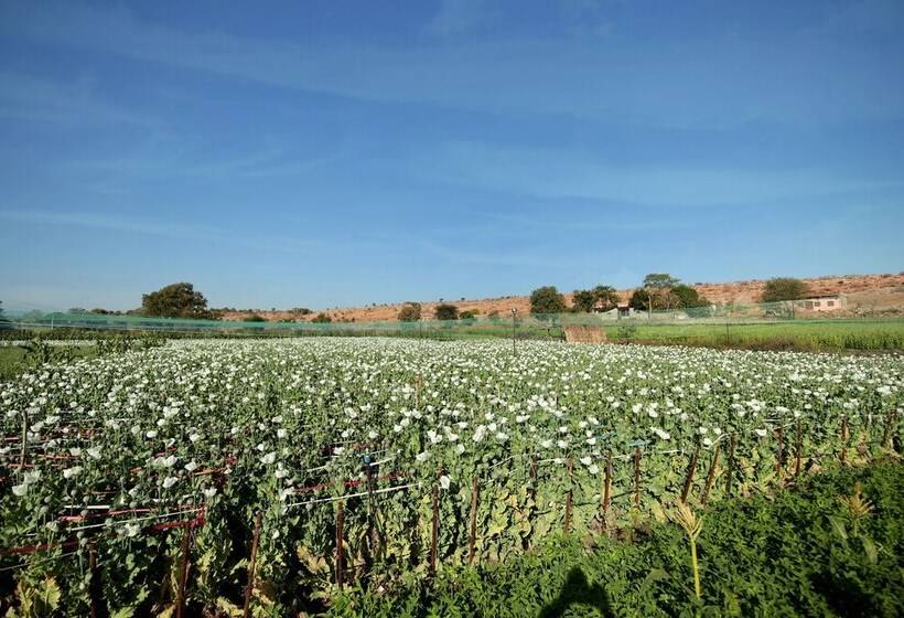 Resort Pangarh Lake Retreat