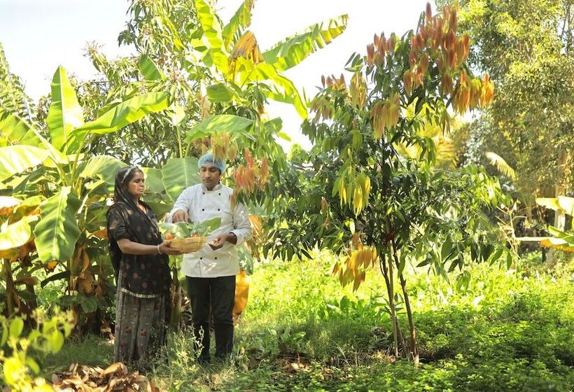 Resort Pangarh Lake Retreat