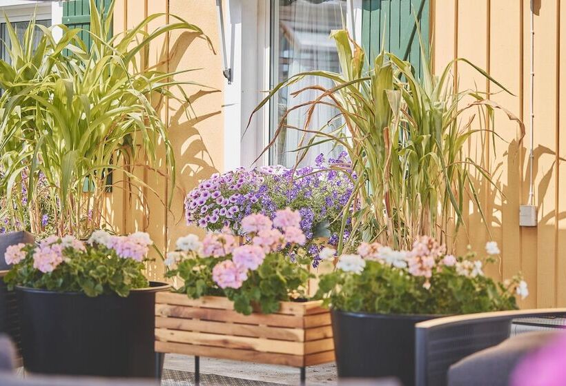 Björkbackens Vandrarhem I Vimmerby   Hostel