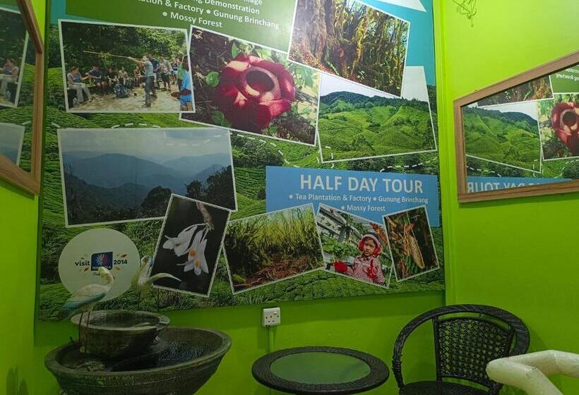 فندق صغير Ch Travellers Inn