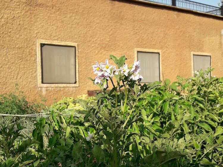 هاستل Ouirgane Ecolodge