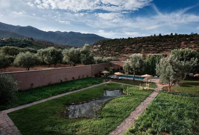 هاستل Ouirgane Ecolodge