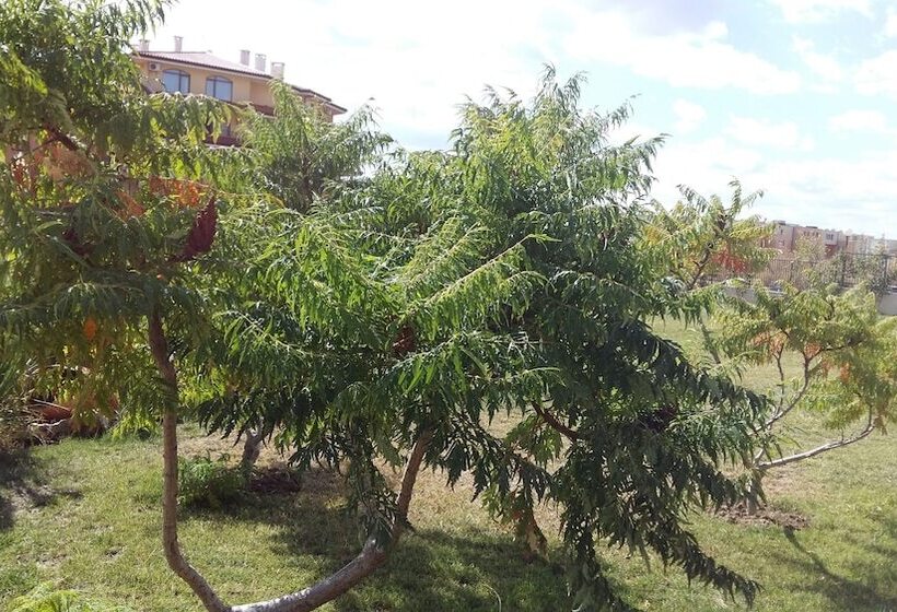 Apartkomplex Sorrento Sole Mare