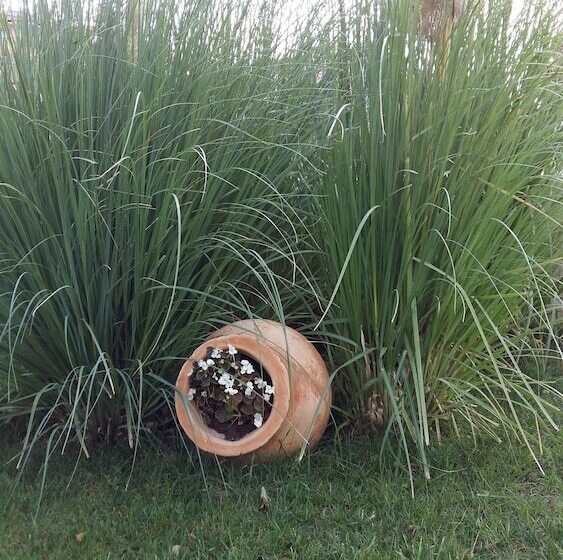 Apartkomplex Sorrento Sole Mare