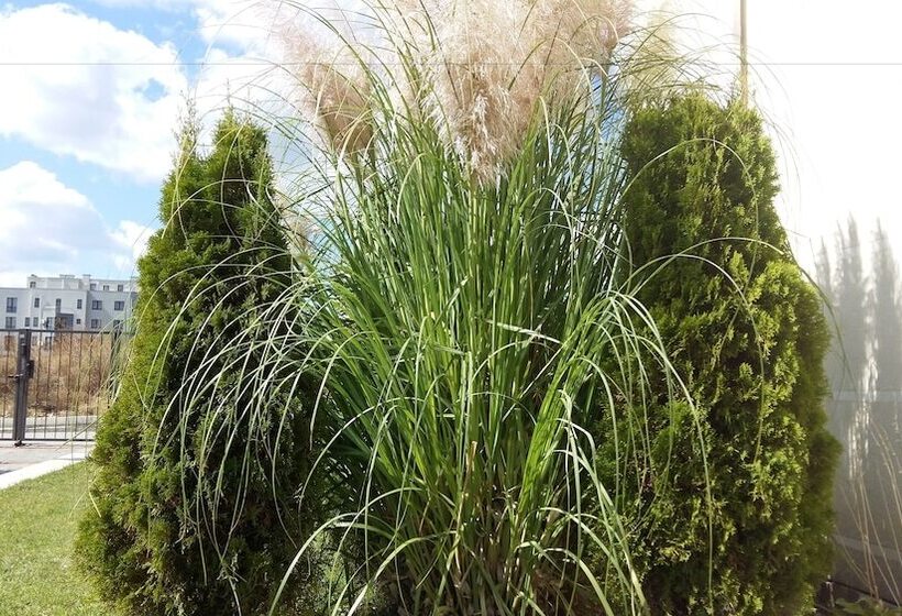 Apartkomplex Sorrento Sole Mare