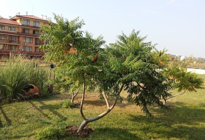 Apartkomplex Sorrento Sole Mare