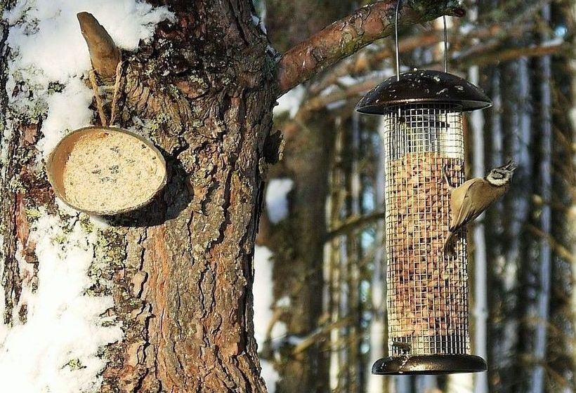 Bed and Breakfast Dava School House