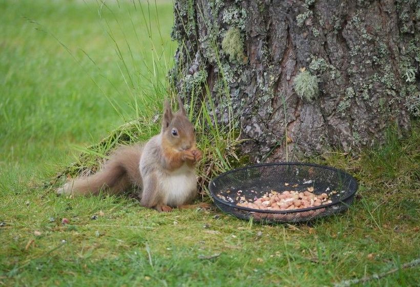 Bed and Breakfast Dava School House