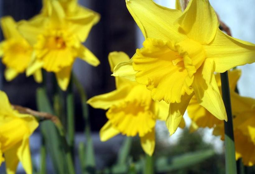 민박 Glencree House