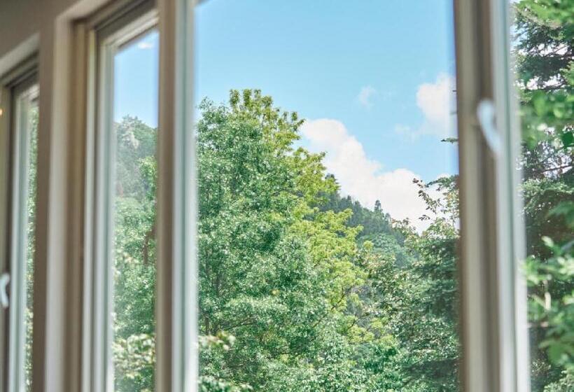 צימר Pension Asanebou