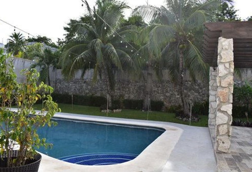 住宿加早餐  Yurinn