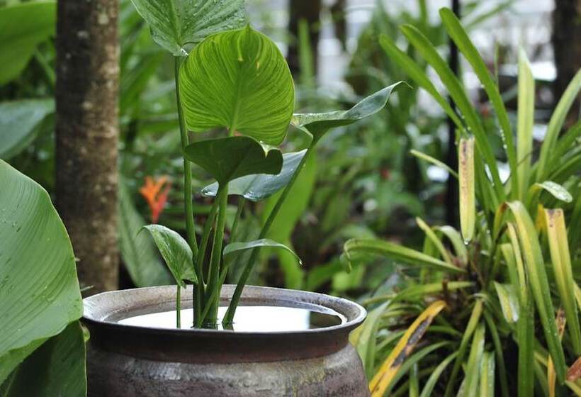 호텔 At 24 Boutique