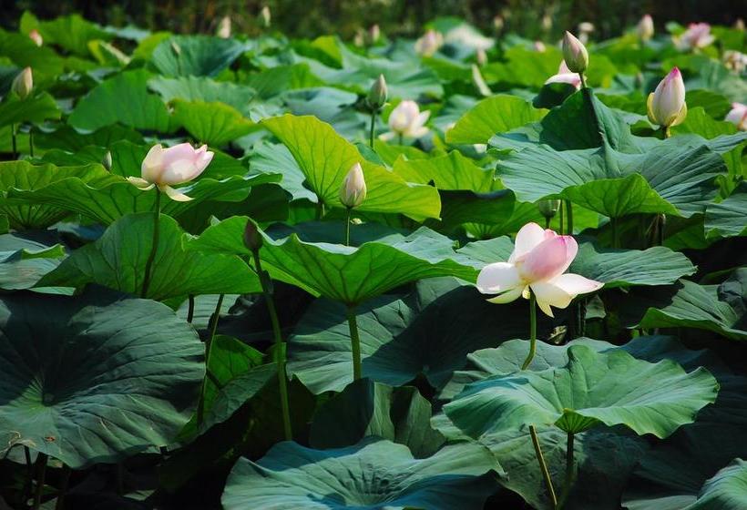 酒店 A Casa Dei Gonzaga