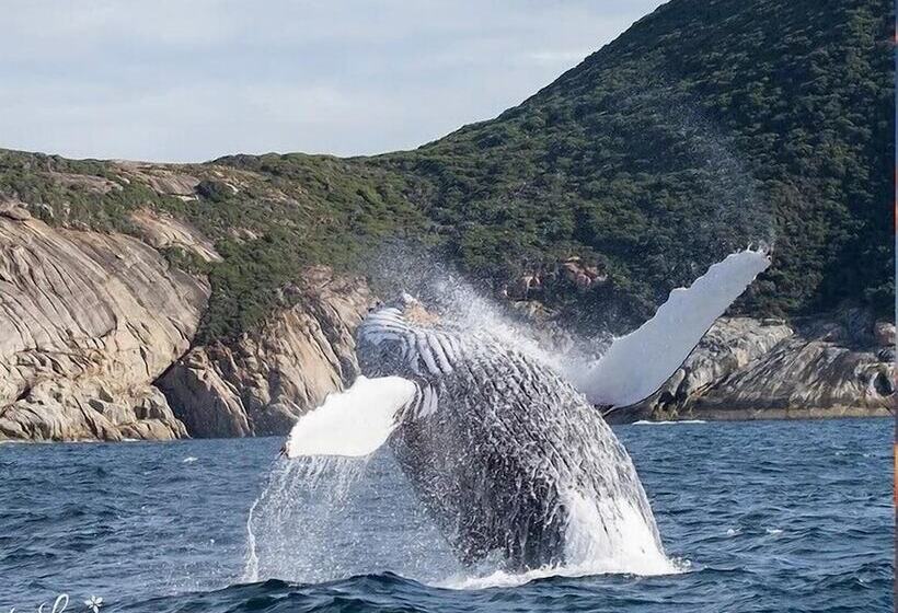 هتل Big4 Middleton Beach Holiday Park