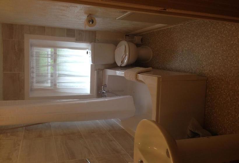 酒店 Black Lions Guest House