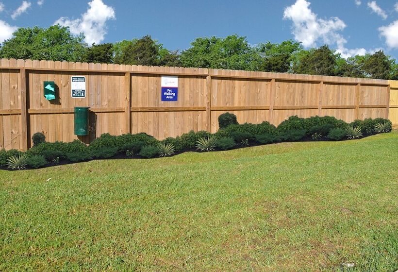 בית מלון כפרי Candlewood Suites Bay City, An Ihg