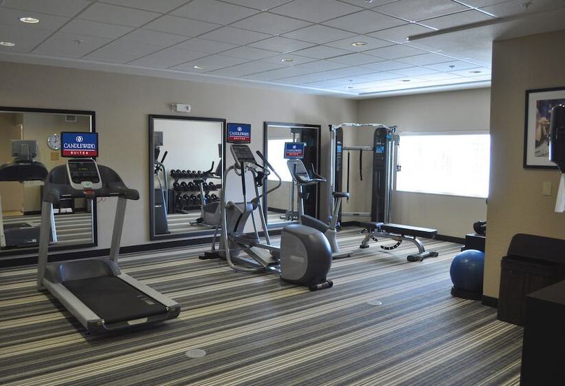 فندق Candlewood Suites Bay City, An Ihg