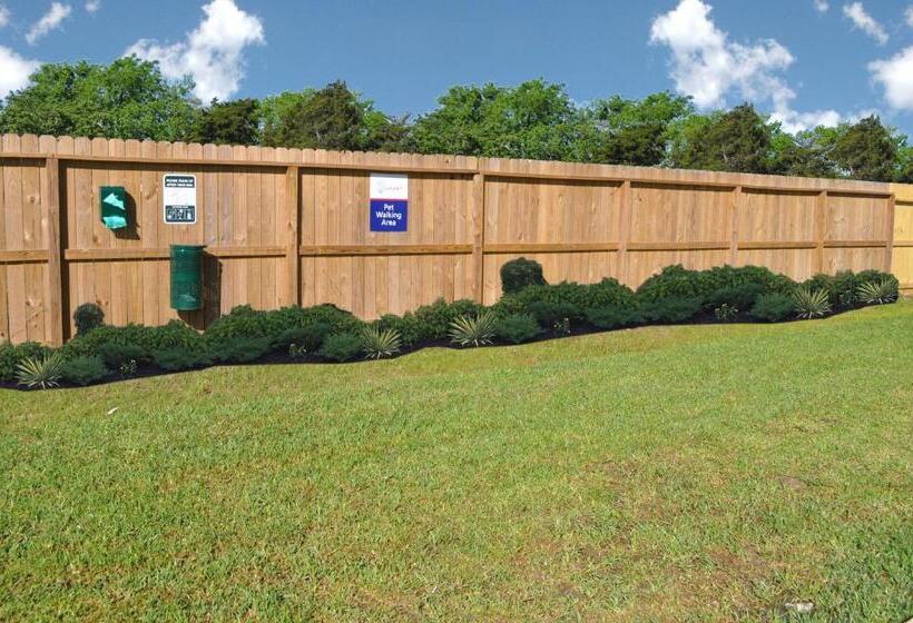 בית מלון כפרי Candlewood Suites Bay City, An Ihg