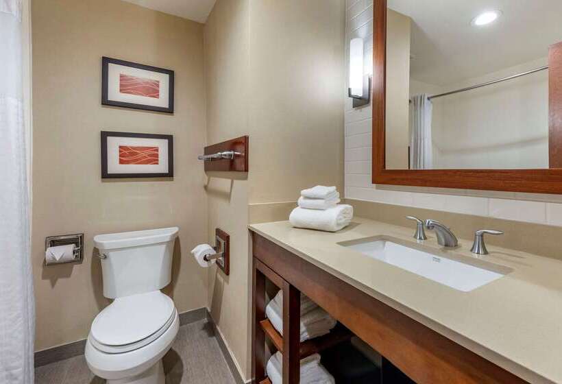 בית מלון כפרי Comfort Inn & Suites Pittsburgh South