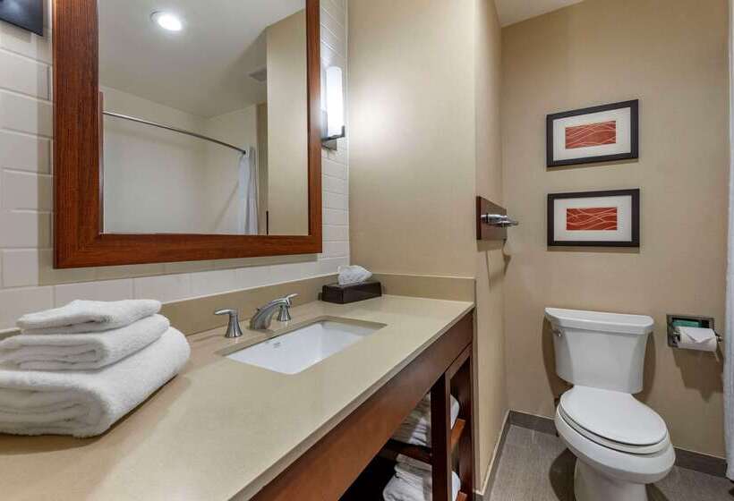 בית מלון כפרי Comfort Inn & Suites Pittsburgh South