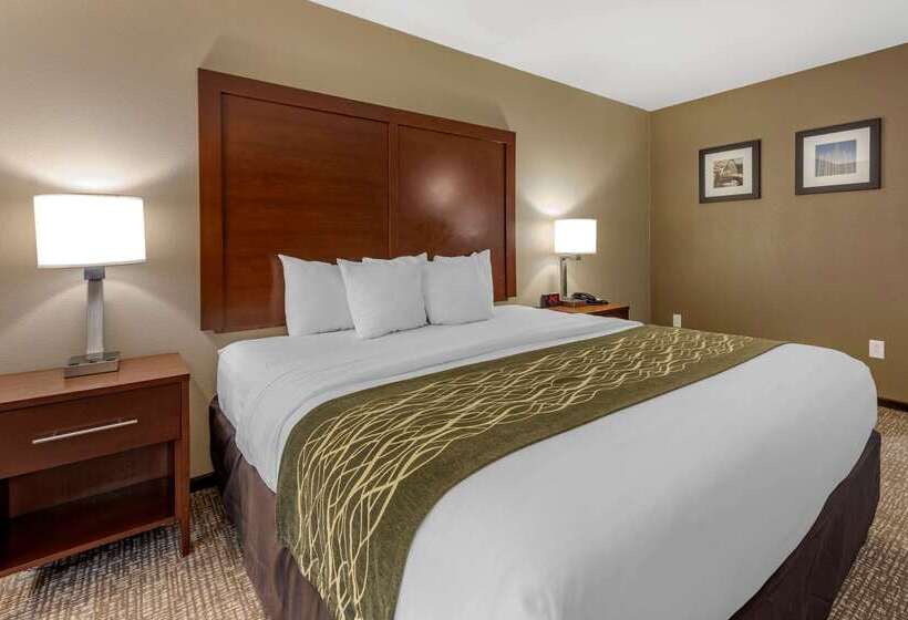 בית מלון כפרי Comfort Inn & Suites Pittsburgh South