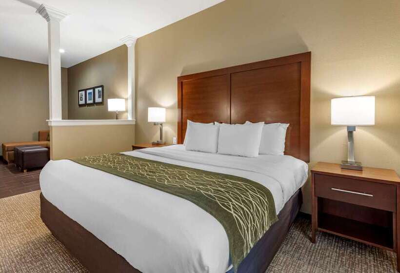 בית מלון כפרי Comfort Inn & Suites Pittsburgh South