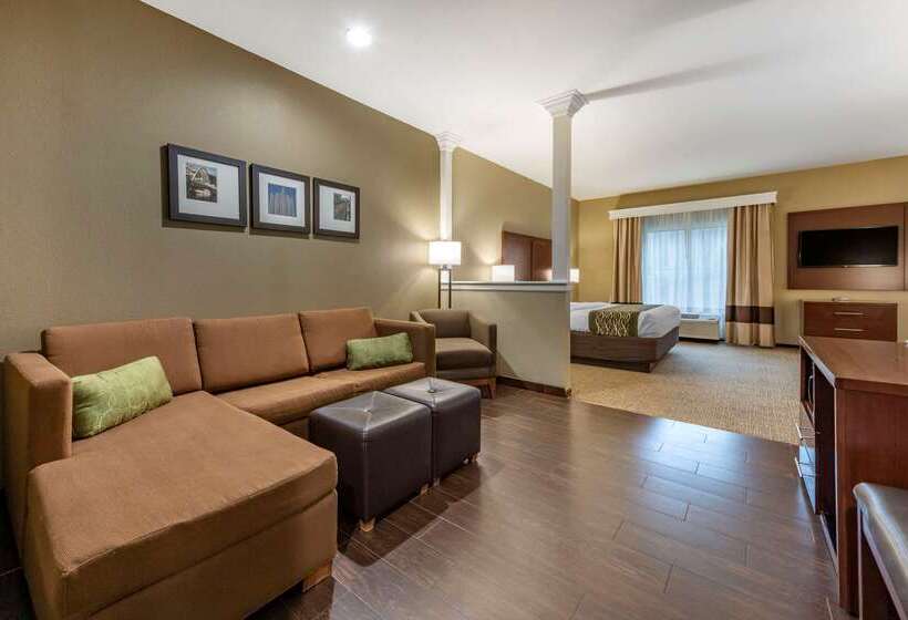 בית מלון כפרי Comfort Inn & Suites Pittsburgh South